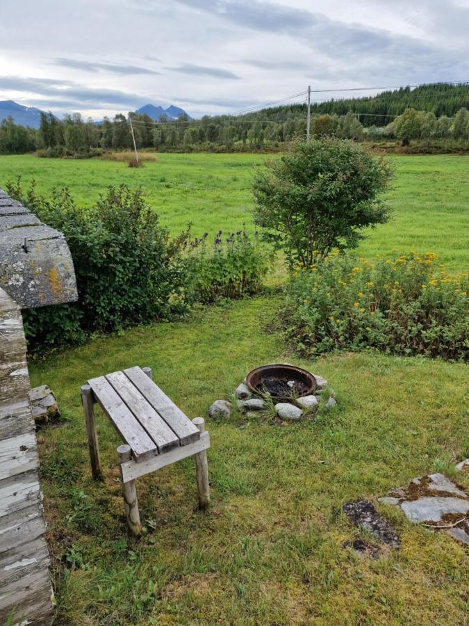 Warm And Cozy Cottage, Great Location Kvaloya Екстериор снимка
