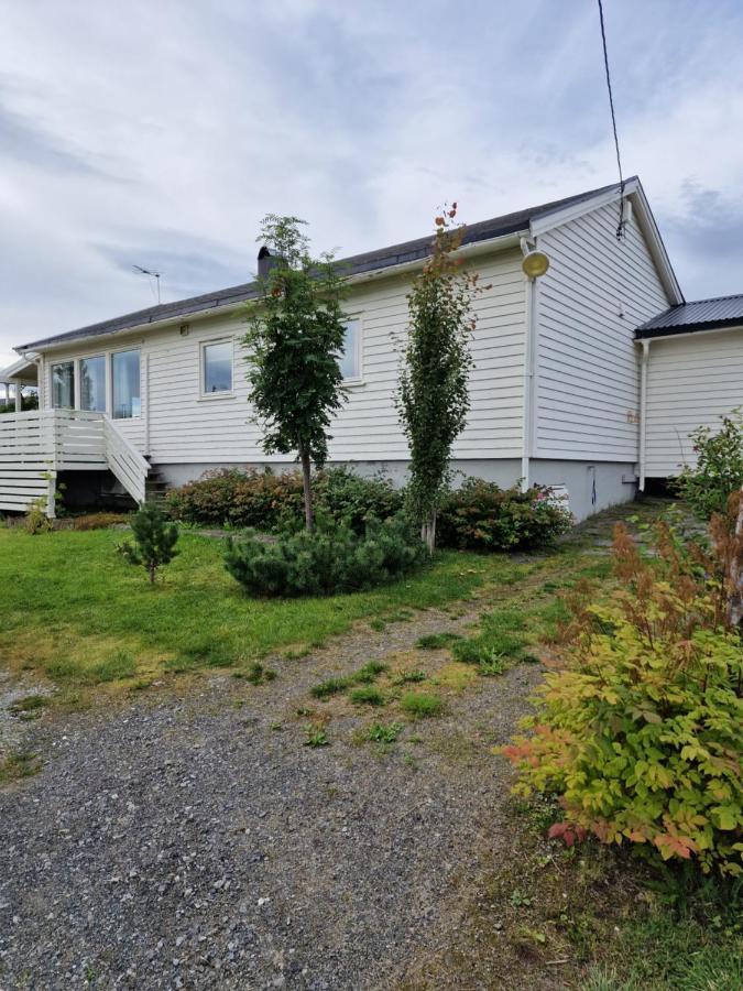 Warm And Cozy Cottage, Great Location Kvaloya Екстериор снимка
