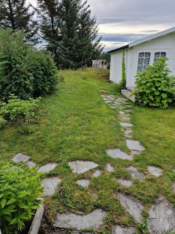 Warm And Cozy Cottage, Great Location Kvaloya Екстериор снимка