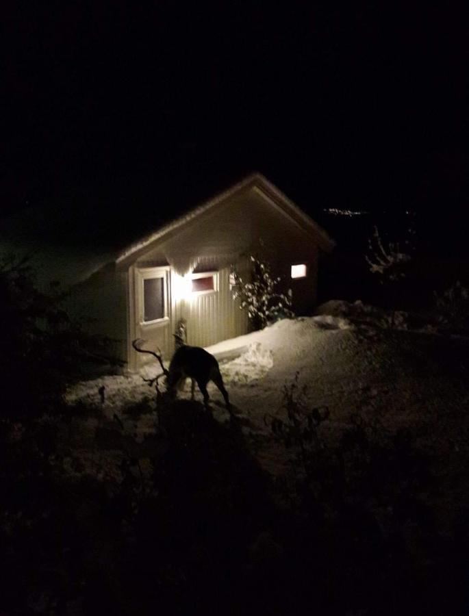 Warm And Cozy Cottage, Great Location Kvaloya Екстериор снимка